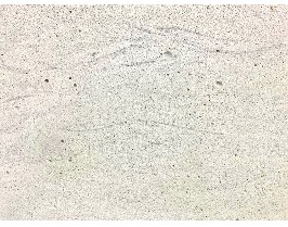 Ripple white