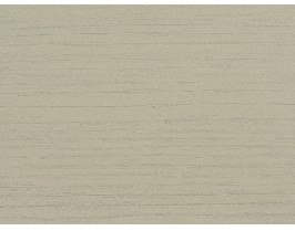 Wood Fossil-2