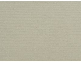 Wood Fossil-3