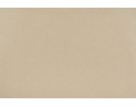 White Sand Beige
