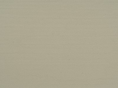 木化石-1