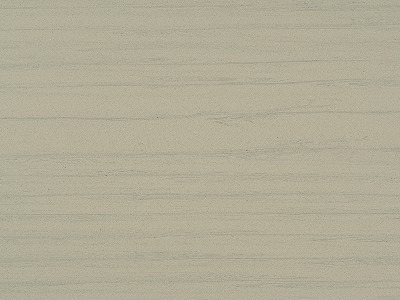 木化石-2