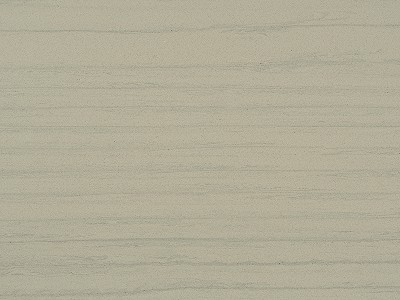 木化石-2