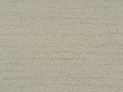 木化石-2