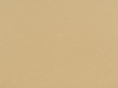无机白玉兰