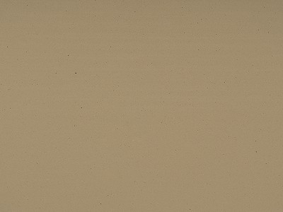 米黄洞（深色）