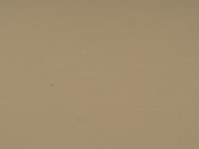 米黄洞（深色）