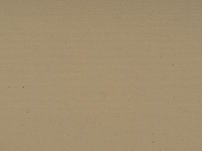 米黄洞（深色）