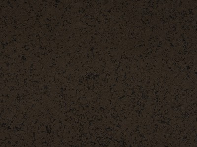 BDSF101