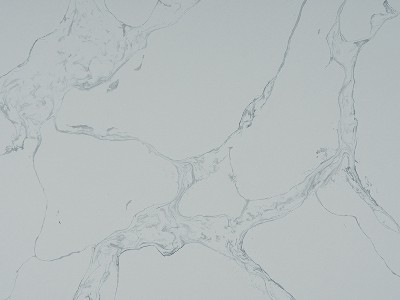BD0825