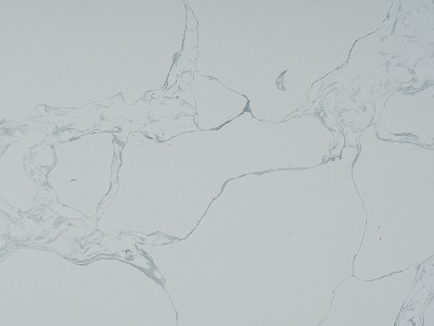 BD0825