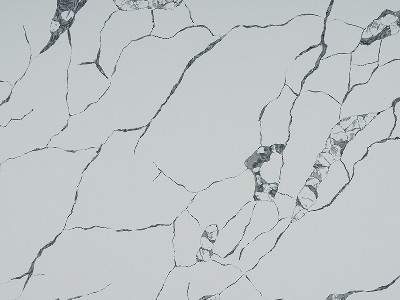 BD0829