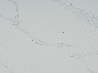 BD0802