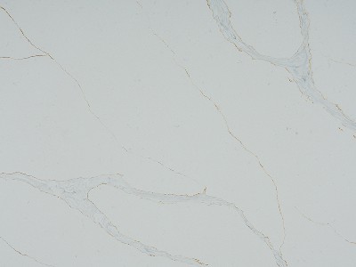 BD0802