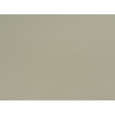 Wood Fossil-1