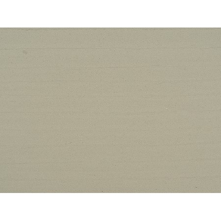Wood Fossil-1