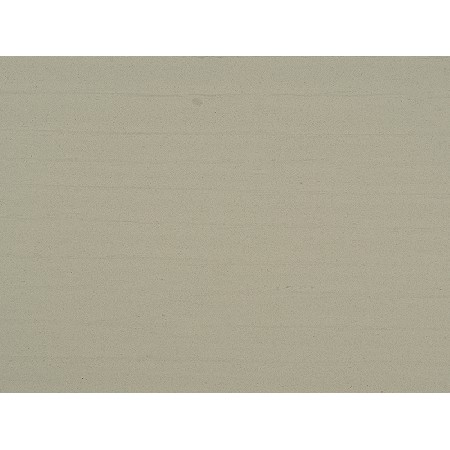 Wood Fossil-1