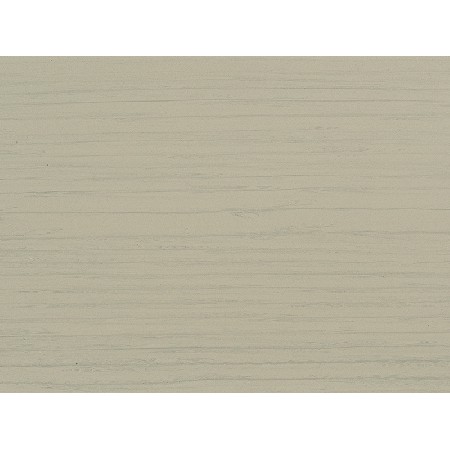 Wood Fossil-2
