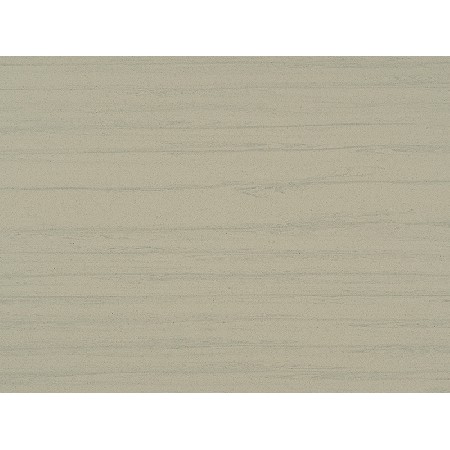 Wood Fossil-2