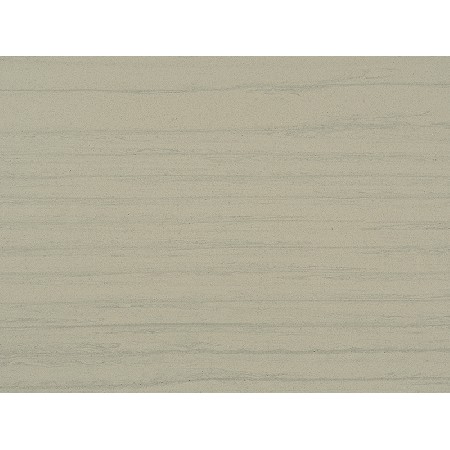 Wood Fossil-2