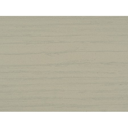 Wood Fossil-2