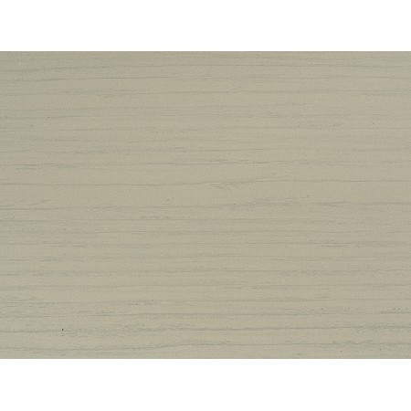 Wood Fossil-2
