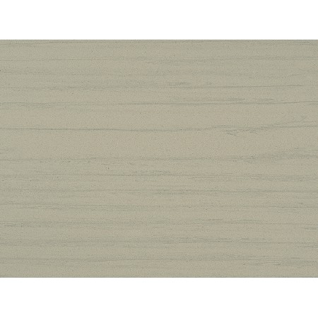 Wood Fossil-2
