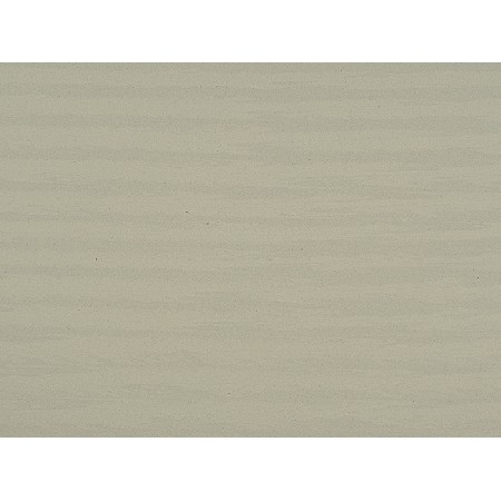 Wood Fossil-3