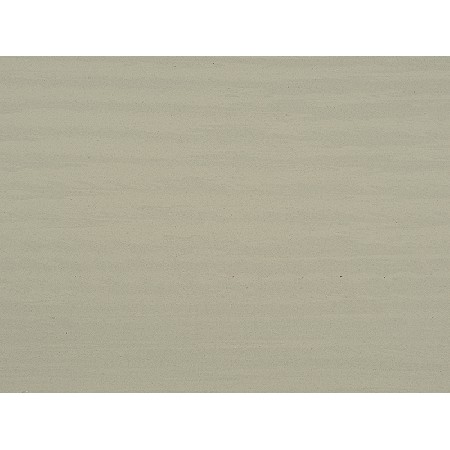 Wood Fossil-3