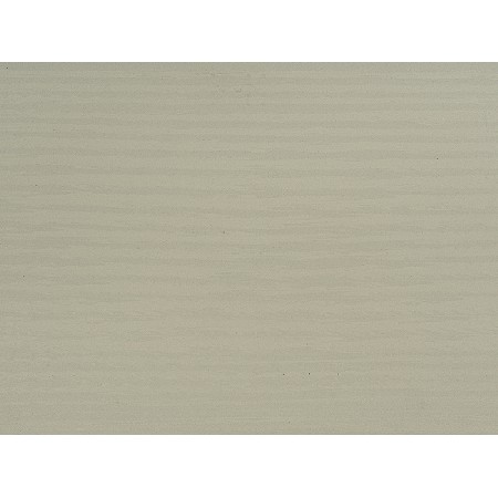 Wood Fossil-3