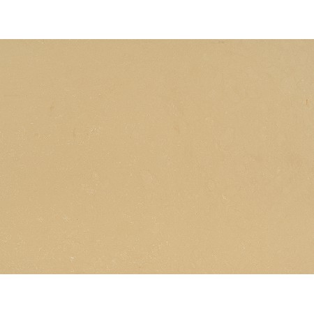 Inorganic Magnolia