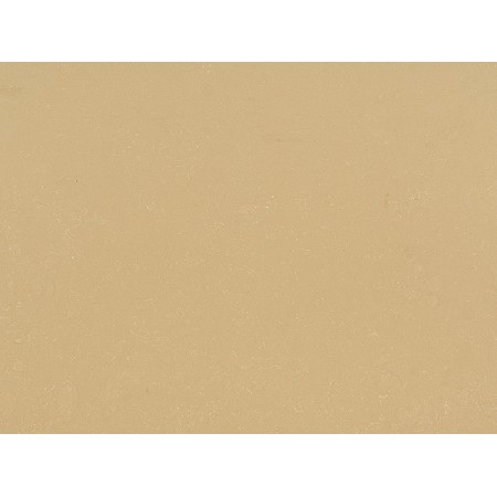 Inorganic Magnolia