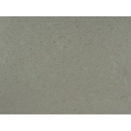 Arctic Grey