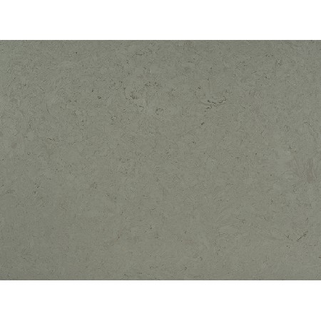 Arctic Grey