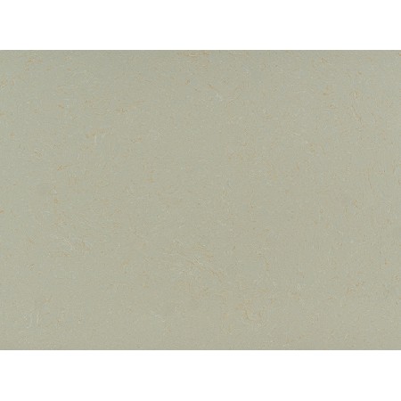 Golden Dragon Jade