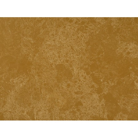 Shallow brown reticulum
