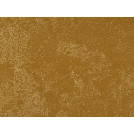 Shallow brown reticulum