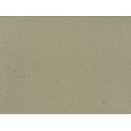 Century Beige