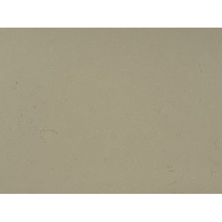 Century Beige