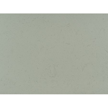 Yashi White-2