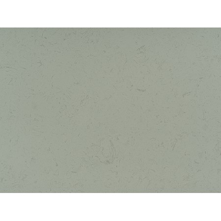 Yashi White-2