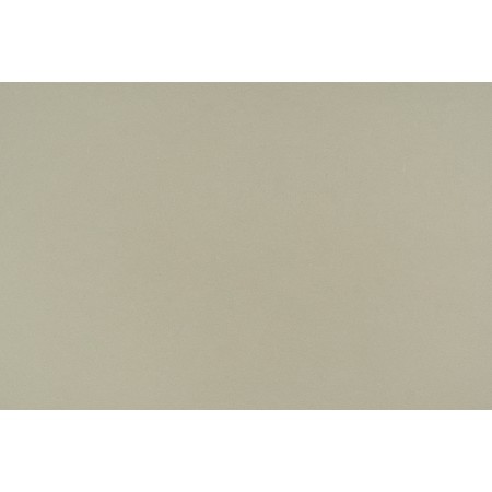 Rice white