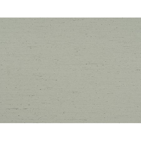 White wood grain