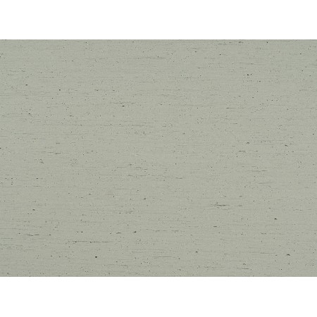 White wood grain