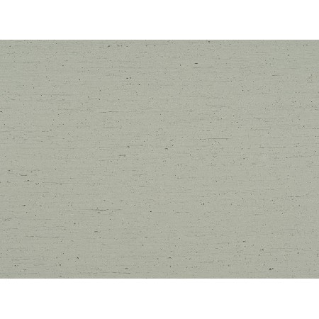 White wood grain