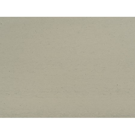 Piaowen White
